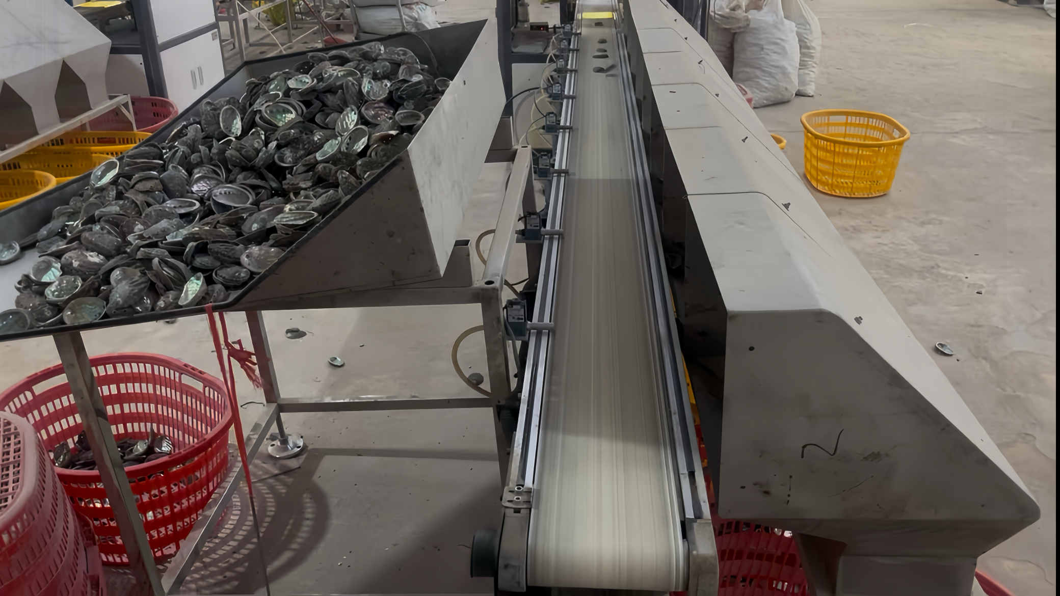 Factory-direct (Kunsheng Abalone Shell)
