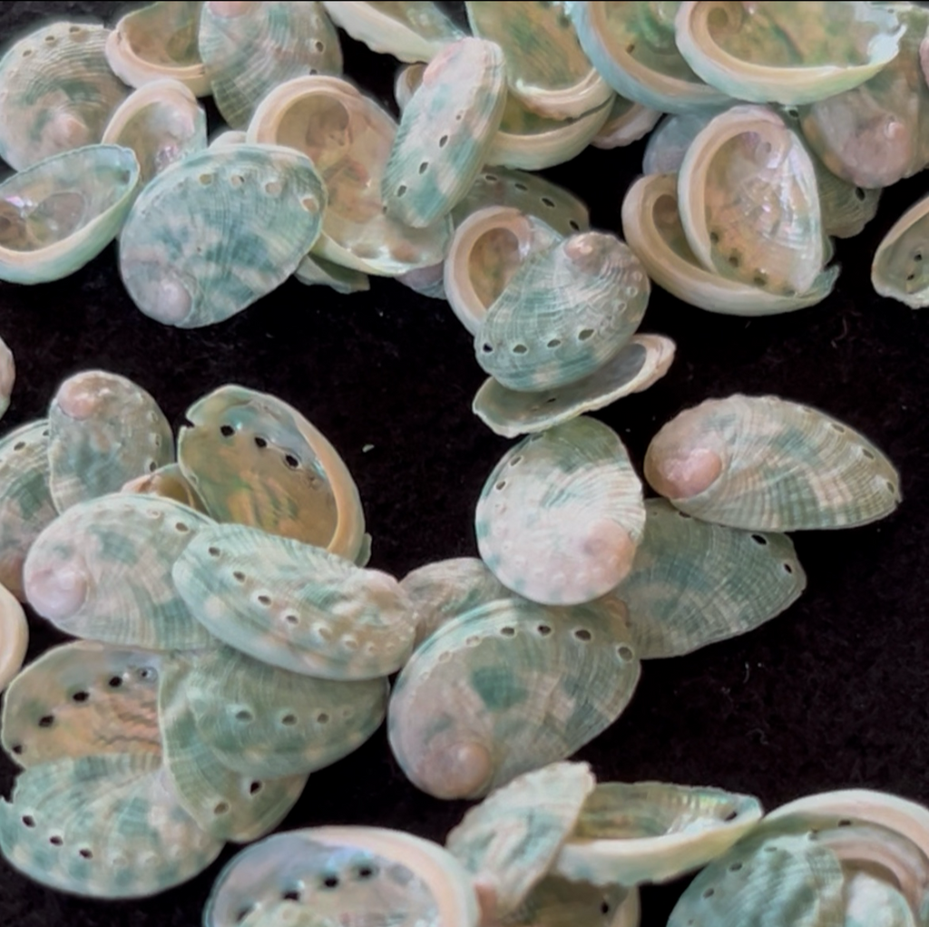 Micro Natural Abalone Shell Approx. 1/2 Inch (1–2 cm) for Jewelry Making & Craft Supply