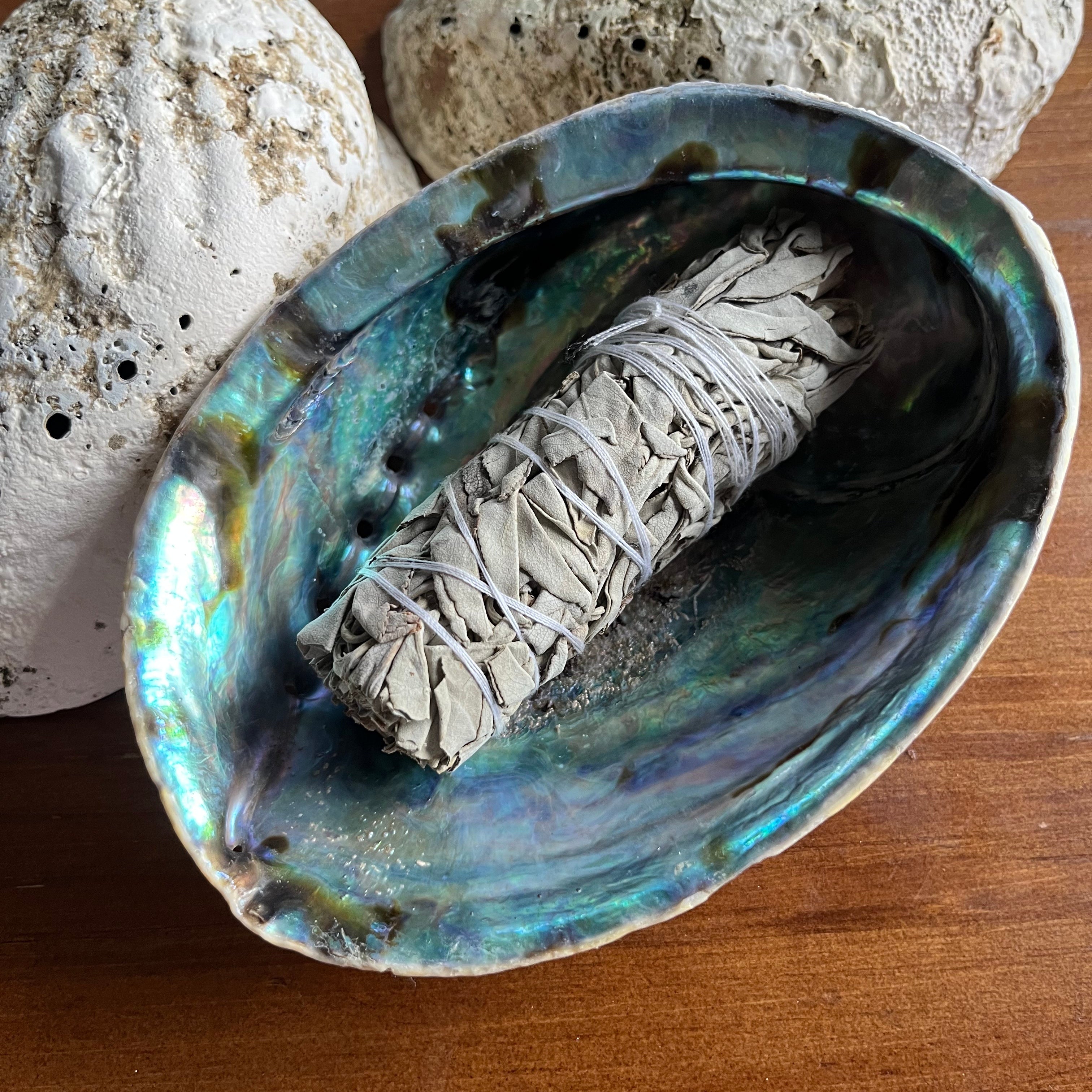New Zealand Paua Abalone Shell 5–6 Inch (13–15 cm) Premium Ritual Smudge Bowl
