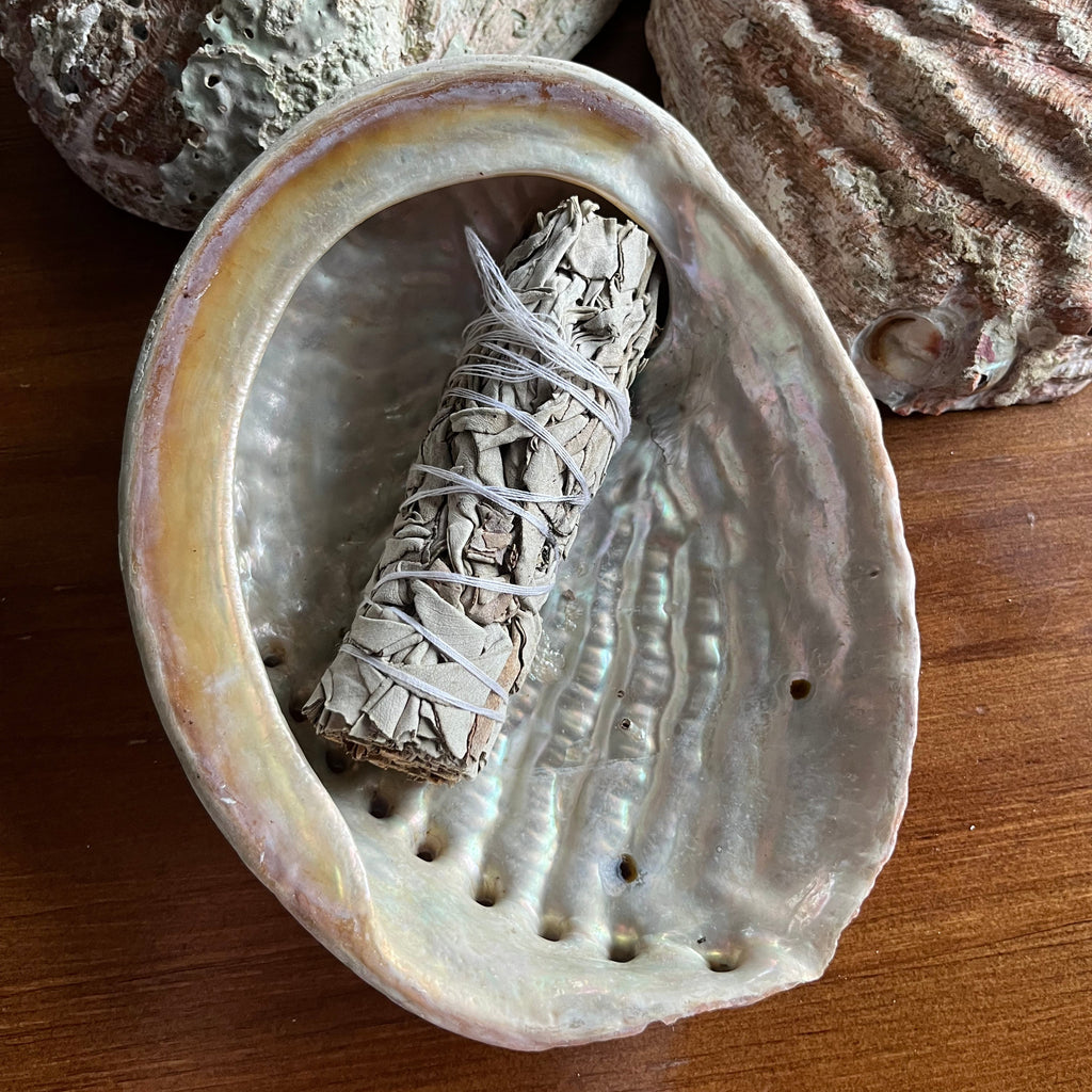 Bundled sage inside a shell on a wooden surface