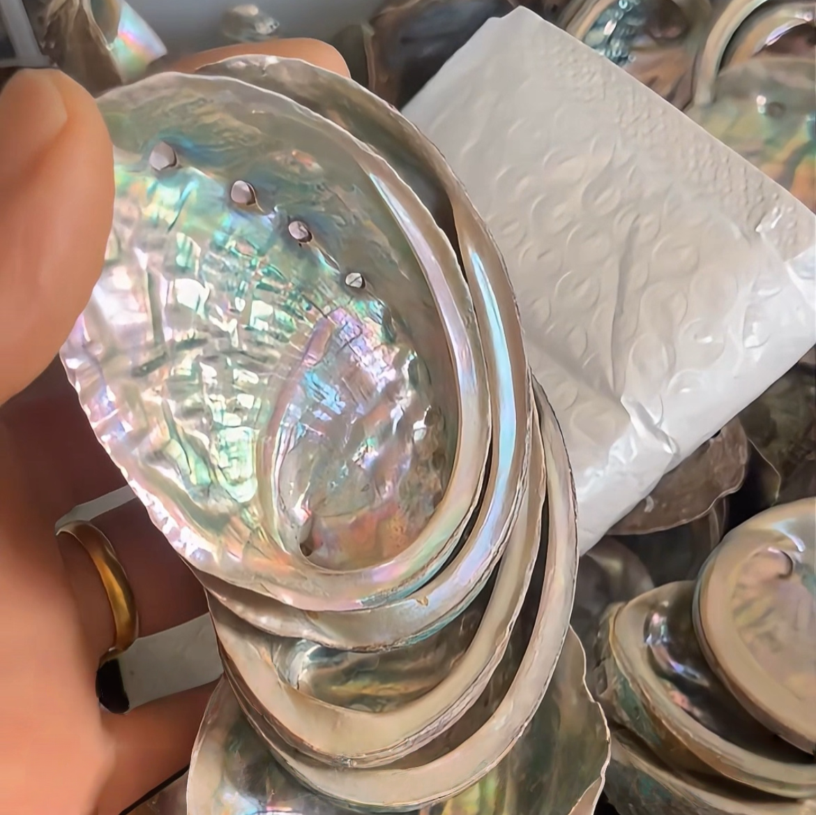 Small Natural Abalone Shell 2–3 Inch (5–8 cm) for Resin Art & Craft Supply