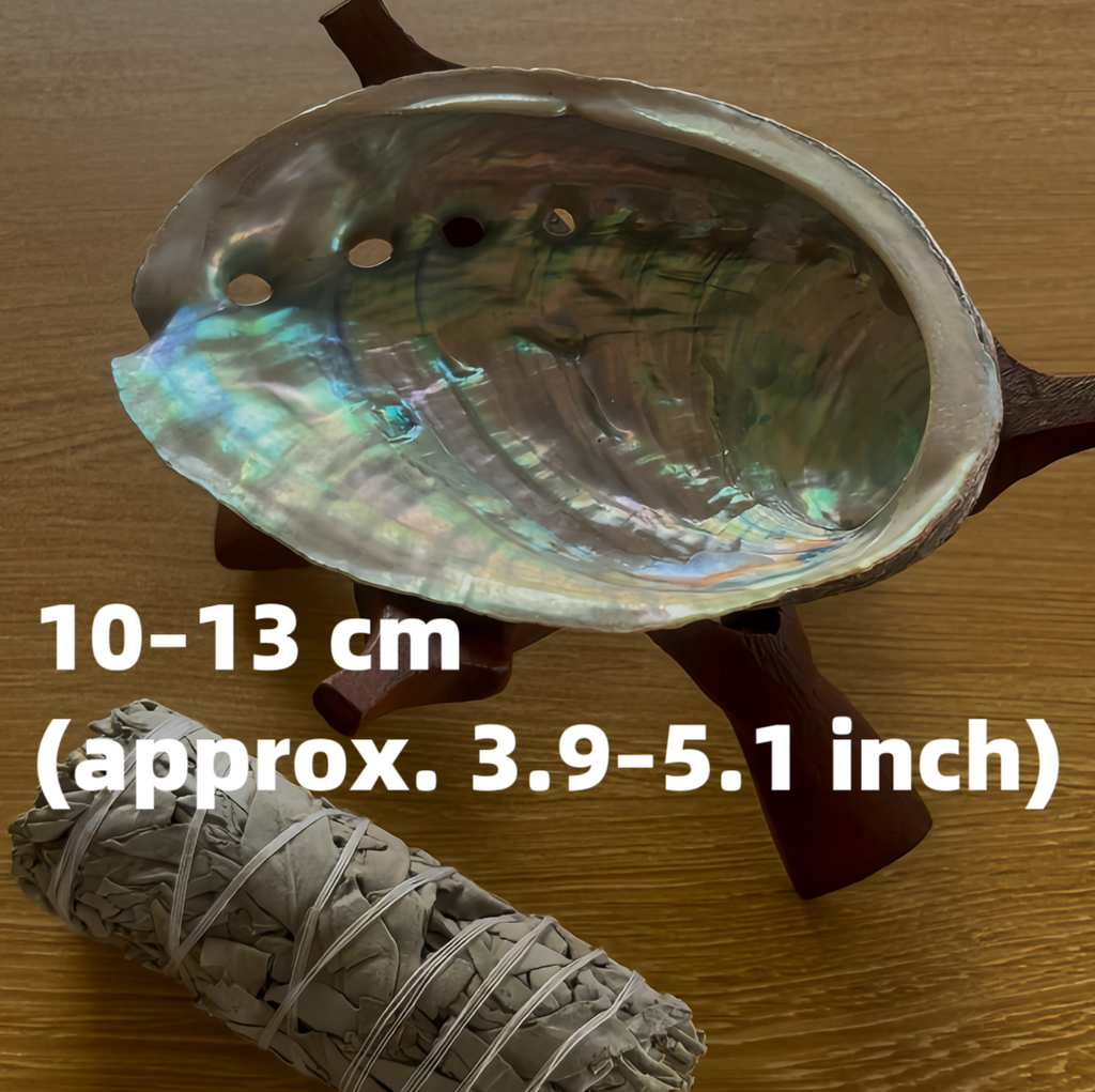 Large Abalone Shell 4–5 Inch (10–13 cm) Wholesale Smudge Bowl for Sage Cleansing