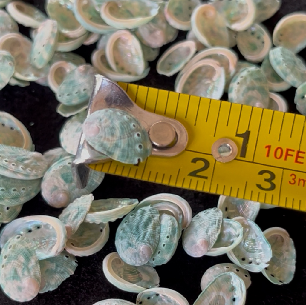 Micro Natural Abalone Shell Approx. 1/2 Inch (1–2 cm) for Jewelry Making & Craft Supply