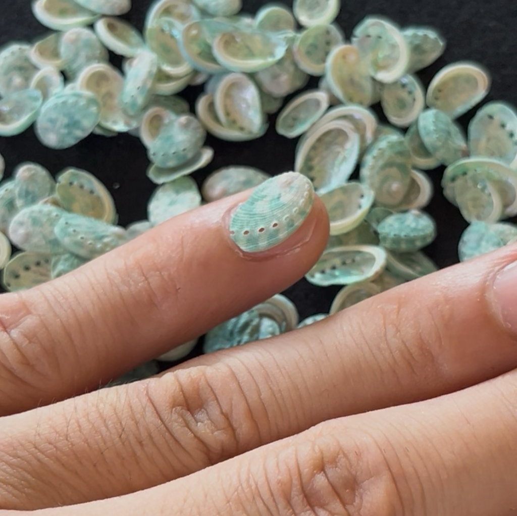 Micro Natural Abalone Shell Approx. 1/2 Inch (1–2 cm) for Jewelry Making & Craft Supply